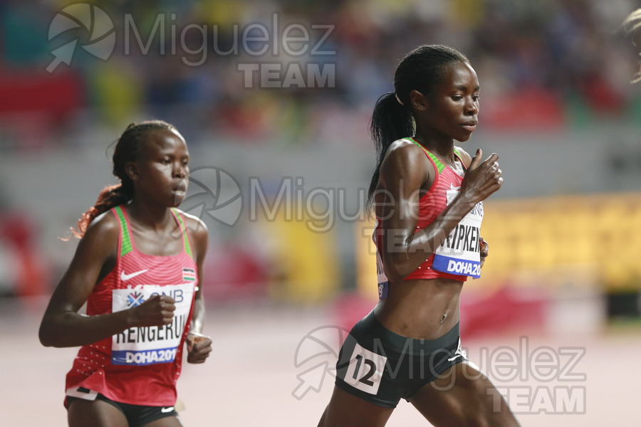 ATLETISMO: Campeonato del Mundo Absoluto al Aire Libre (Doha) 2019.