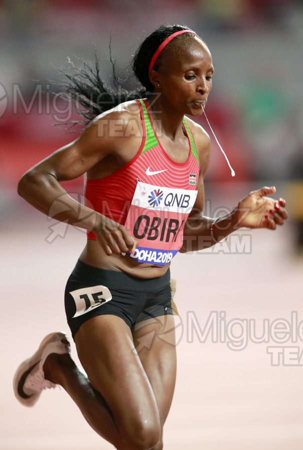 ATLETISMO: Campeonato del Mundo Absoluto al Aire Libre (Doha) 2019.