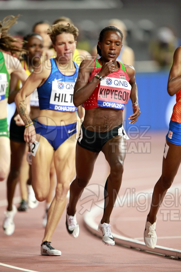 ATLETISMO: Campeonato del Mundo Absoluto al Aire Libre (Doha) 2019.