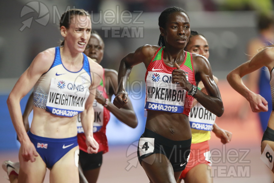 ATLETISMO: Campeonato del Mundo Absoluto al Aire Libre (Doha) 2019.