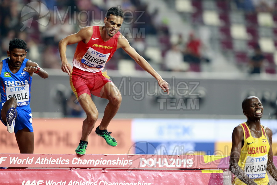 ATLETISMO: Campeonato del Mundo Absoluto al Aire Libre (Doha) 2019.