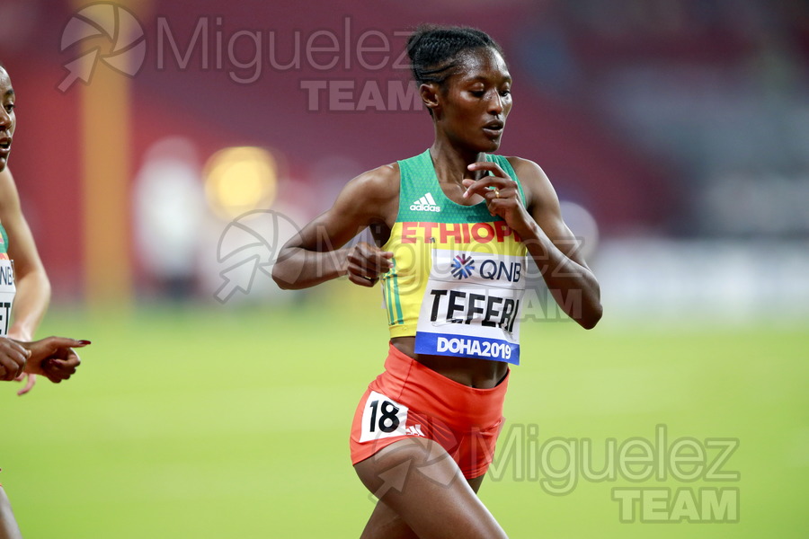 ATLETISMO: Campeonato del Mundo Absoluto al Aire Libre (Doha) 2019.