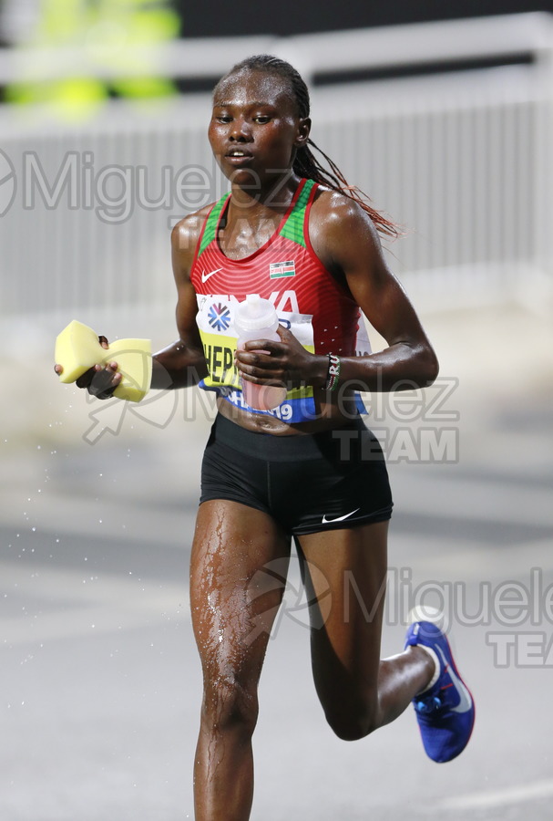 ATLETISMO: Campeonato del Mundo Absoluto al Aire Libre (Doha) 2019.