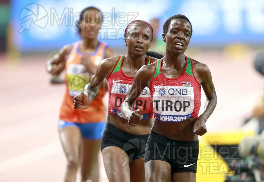 ATLETISMO: Campeonato del Mundo Absoluto al Aire Libre (Doha) 2019.