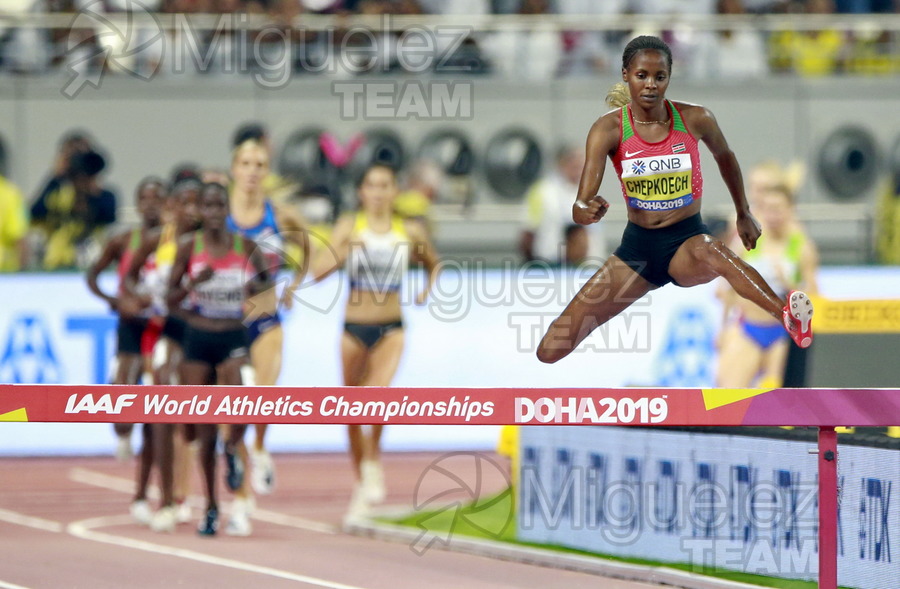 ATLETISMO: Campeonato del Mundo Absoluto al Aire Libre (Doha) 2019.