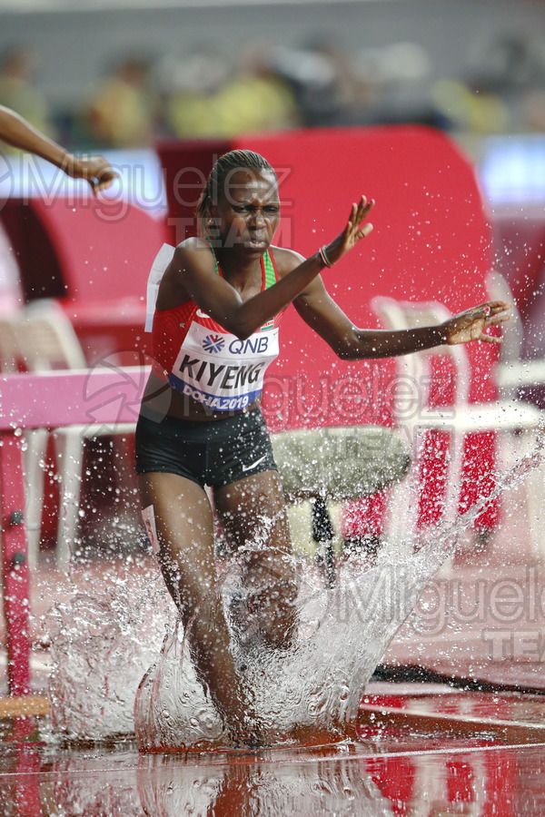 ATLETISMO: Campeonato del Mundo Absoluto al Aire Libre (Doha) 2019.