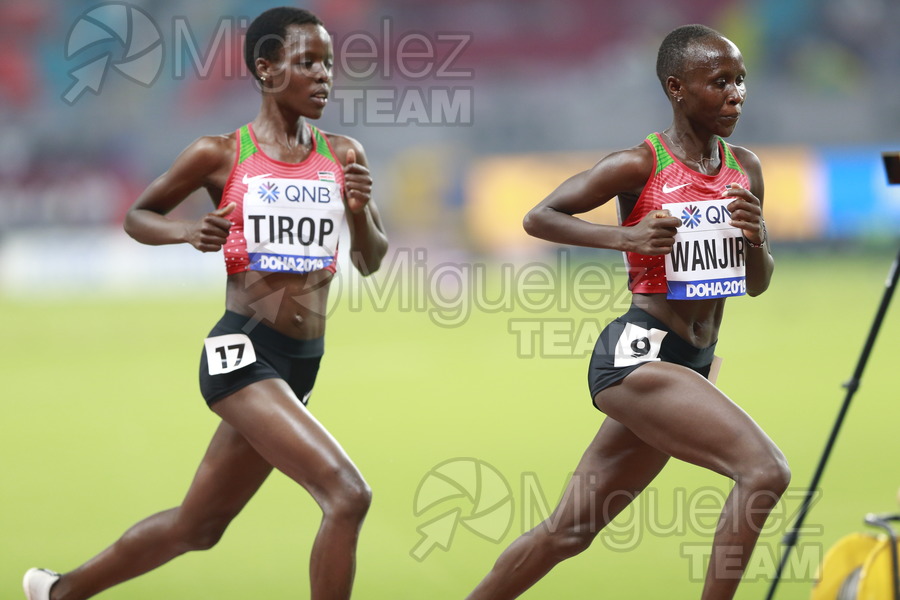 ATLETISMO: Campeonato del Mundo Absoluto al Aire Libre (Doha) 2019.