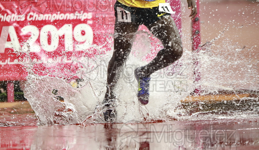 ATLETISMO: Campeonato del Mundo Absoluto al Aire Libre (Doha) 2019.