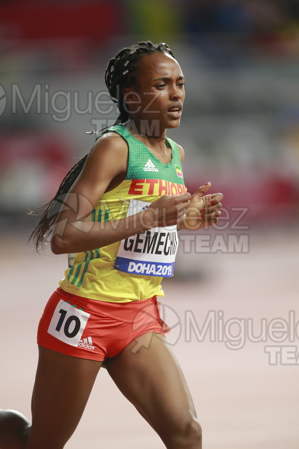 ATLETISMO: Campeonato del Mundo Absoluto al Aire Libre (Doha) 2019.