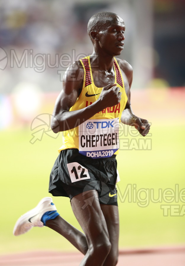 ATLETISMO: Campeonato del Mundo Absoluto al Aire Libre (Doha) 2019.