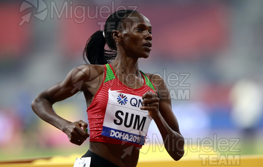 ATLETISMO: Campeonato del Mundo Absoluto al Aire Libre (Doha) 2019.