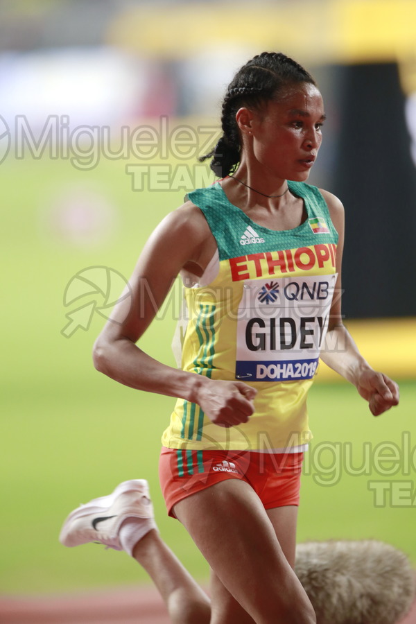 ATLETISMO: Campeonato del Mundo Absoluto al Aire Libre (Doha) 2019.