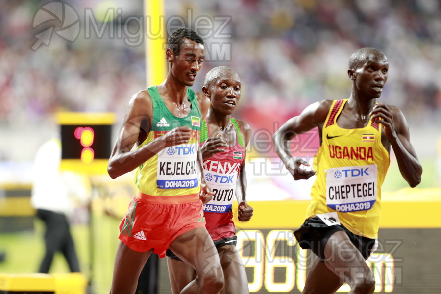 ATLETISMO: Campeonato del Mundo Absoluto al Aire Libre (Doha) 2019.