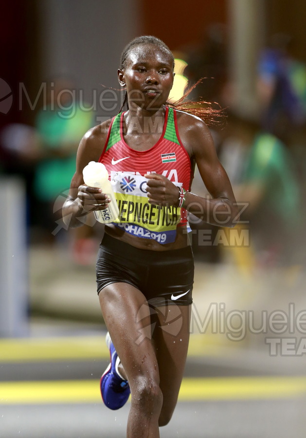 ATLETISMO: Campeonato del Mundo Absoluto al Aire Libre (Doha) 2019.
