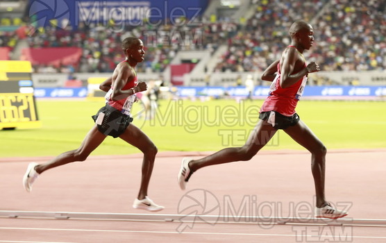 ATLETISMO: Campeonato del Mundo Absoluto al Aire Libre (Doha) 2019.