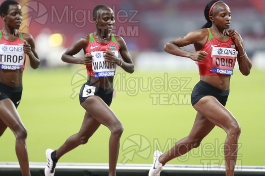 ATLETISMO: Campeonato del Mundo Absoluto al Aire Libre (Doha) 2019.