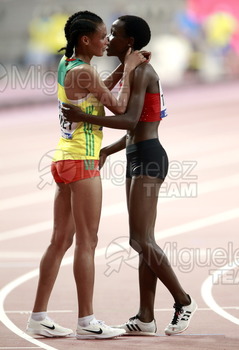 ATLETISMO: Campeonato del Mundo Absoluto al Aire Libre (Doha) 2019.