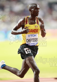 ATLETISMO: Campeonato del Mundo Absoluto al Aire Libre (Doha) 2019.