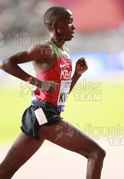 ATLETISMO: Campeonato del Mundo Absoluto al Aire Libre (Doha) 2019.