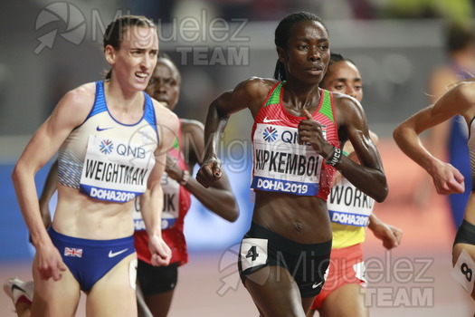 ATLETISMO: Campeonato del Mundo Absoluto al Aire Libre (Doha) 2019.