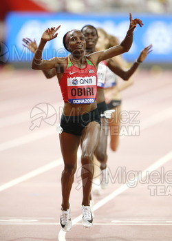 ATLETISMO: Campeonato del Mundo Absoluto al Aire Libre (Doha) 2019.