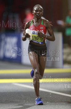 ATLETISMO: Campeonato del Mundo Absoluto al Aire Libre (Doha) 2019.