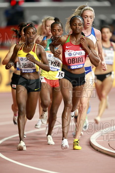 ATLETISMO: Campeonato del Mundo Absoluto al Aire Libre (Doha) 2019.
