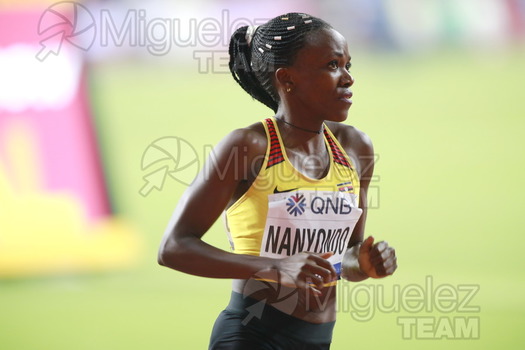 ATLETISMO: Campeonato del Mundo Absoluto al Aire Libre (Doha) 2019.