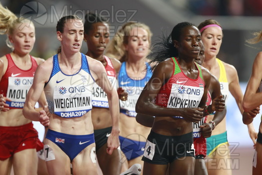 ATLETISMO: Campeonato del Mundo Absoluto al Aire Libre (Doha) 2019.