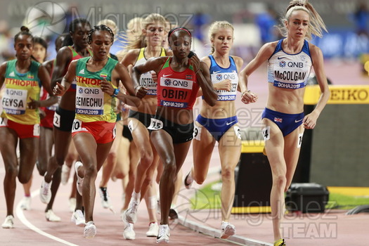 ATLETISMO: Campeonato del Mundo Absoluto al Aire Libre (Doha) 2019.
