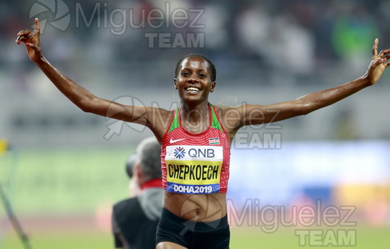 ATLETISMO: Campeonato del Mundo Absoluto al Aire Libre (Doha) 2019.