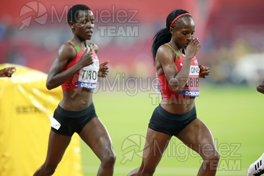 ATLETISMO: Campeonato del Mundo Absoluto al Aire Libre (Doha) 2019.