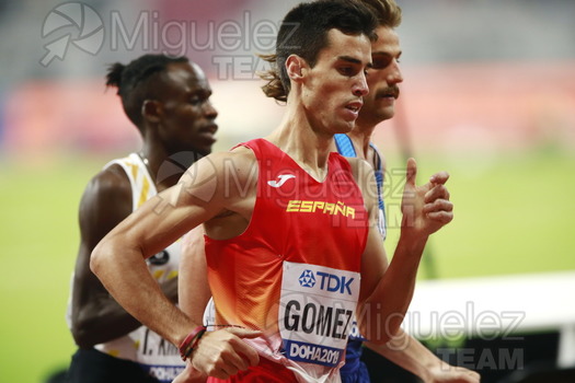 ATLETISMO: Campeonato del Mundo Absoluto al Aire Libre (Doha) 2019.