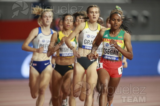 ATLETISMO: Campeonato del Mundo Absoluto al Aire Libre (Doha) 2019.