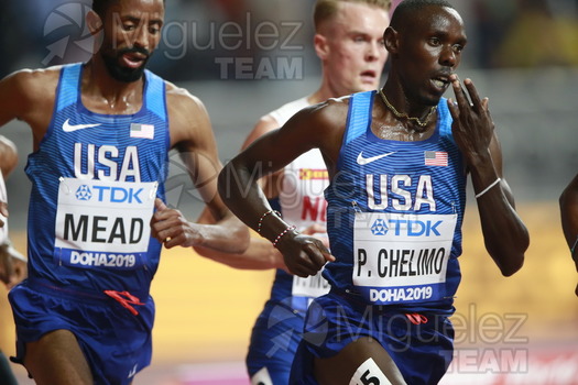 ATLETISMO: Campeonato del Mundo Absoluto al Aire Libre (Doha) 2019.