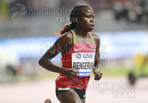 ATLETISMO: Campeonato del Mundo Absoluto al Aire Libre (Doha) 2019.