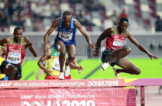 ATLETISMO: Campeonato del Mundo Absoluto al Aire Libre (Doha) 2019.