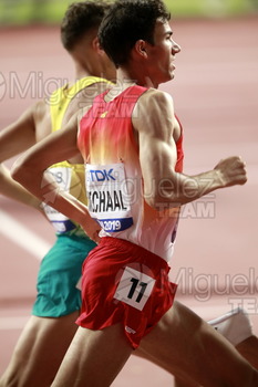ATLETISMO: Campeonato del Mundo Absoluto al Aire Libre (Doha) 2019.