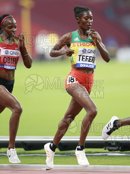 ATLETISMO: Campeonato del Mundo Absoluto al Aire Libre (Doha) 2019.