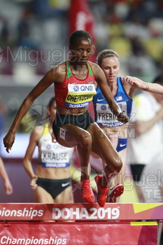 ATLETISMO: Campeonato del Mundo Absoluto al Aire Libre (Doha) 2019.