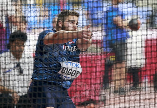 ATLETISMO: Campeonato del Mundo Absoluto al Aire Libre (Doha) 2019.