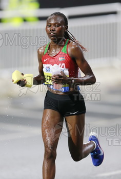 ATLETISMO: Campeonato del Mundo Absoluto al Aire Libre (Doha) 2019.