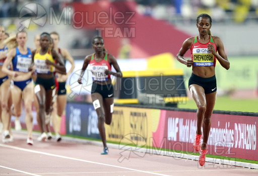 ATLETISMO: Campeonato del Mundo Absoluto al Aire Libre (Doha) 2019.