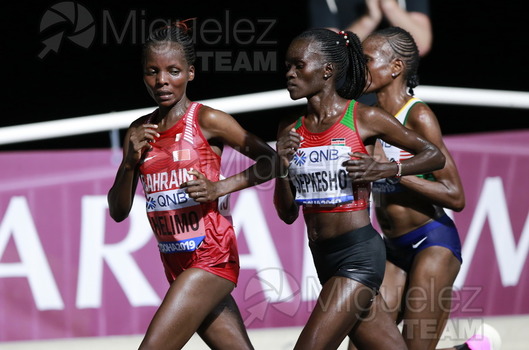 ATLETISMO: Campeonato del Mundo Absoluto al Aire Libre (Doha) 2019.