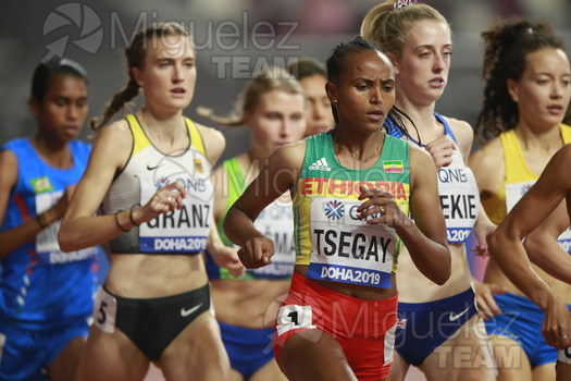 ATLETISMO: Campeonato del Mundo Absoluto al Aire Libre (Doha) 2019.