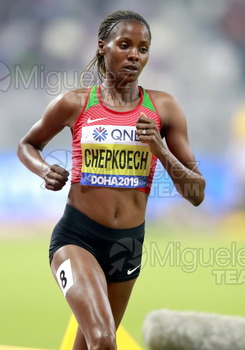 ATLETISMO: Campeonato del Mundo Absoluto al Aire Libre (Doha) 2019.