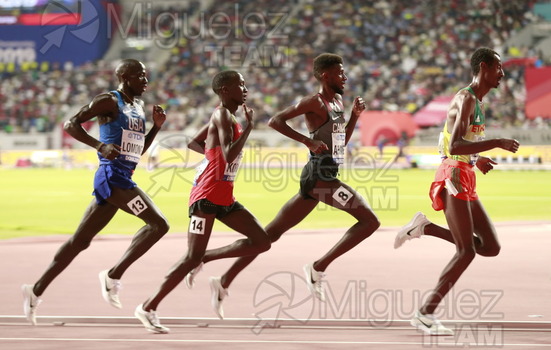 ATLETISMO: Campeonato del Mundo Absoluto al Aire Libre (Doha) 2019.