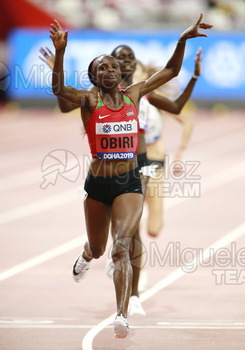 ATLETISMO: Campeonato del Mundo Absoluto al Aire Libre (Doha) 2019.