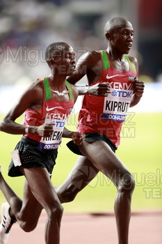 ATLETISMO: Campeonato del Mundo Absoluto al Aire Libre (Doha) 2019.