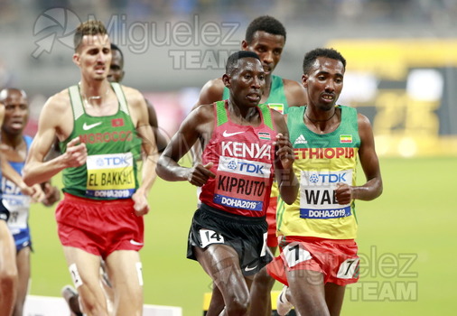 ATLETISMO: Campeonato del Mundo Absoluto al Aire Libre (Doha) 2019.